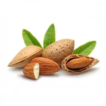 Badam